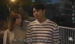 房爱在线观看,一场跨越时空的浪漫邂逅